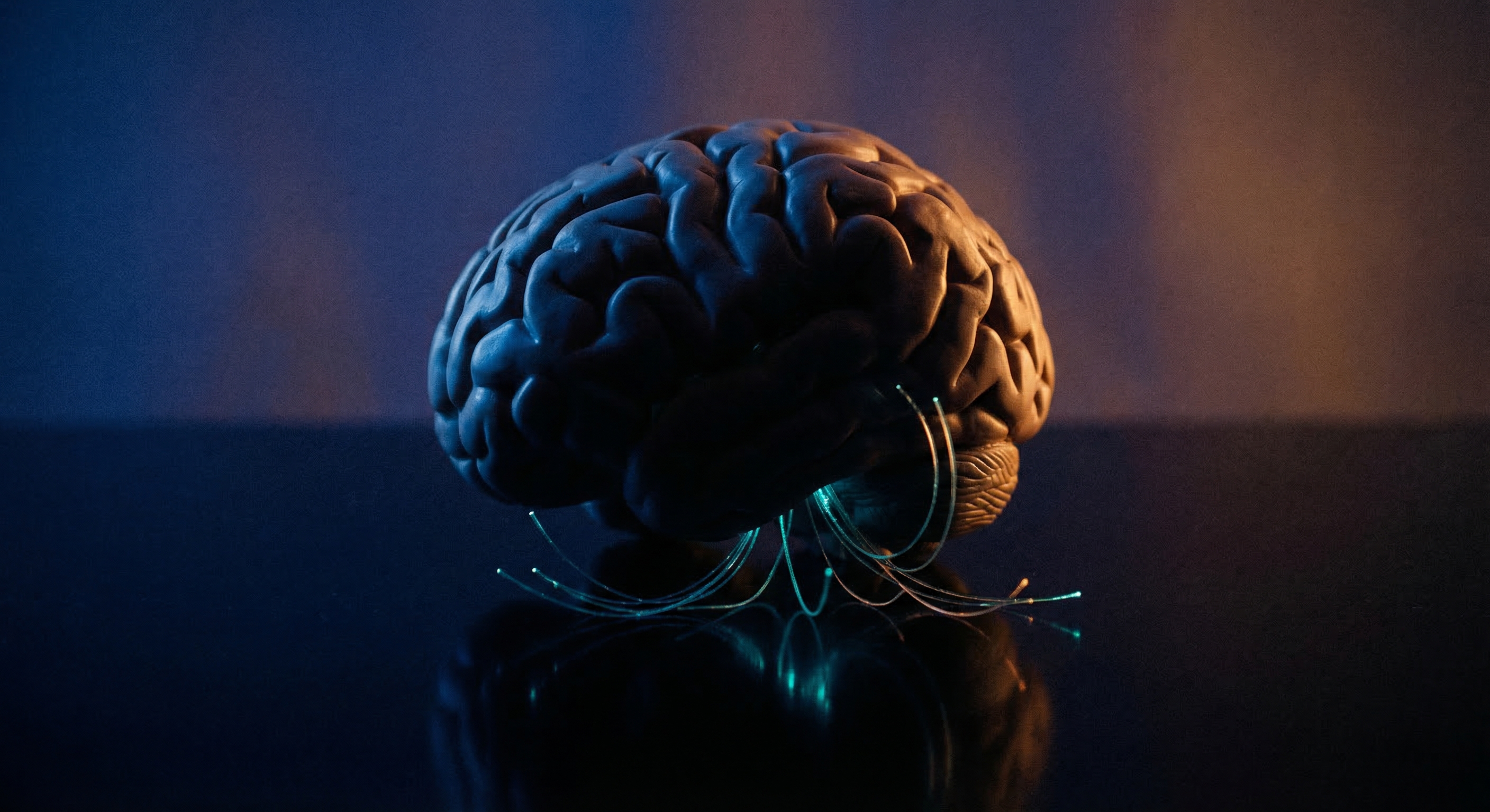 Memory Is Not in Your Brain